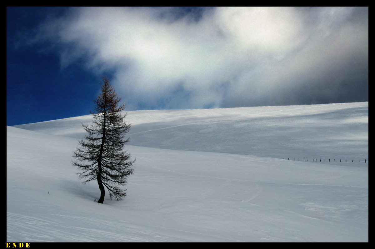 _dsc0521clj8h.jpg