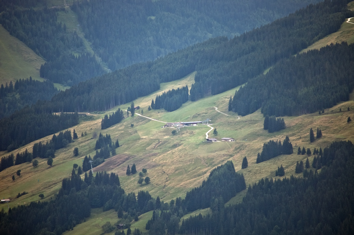 _dsc05311foyz.jpg