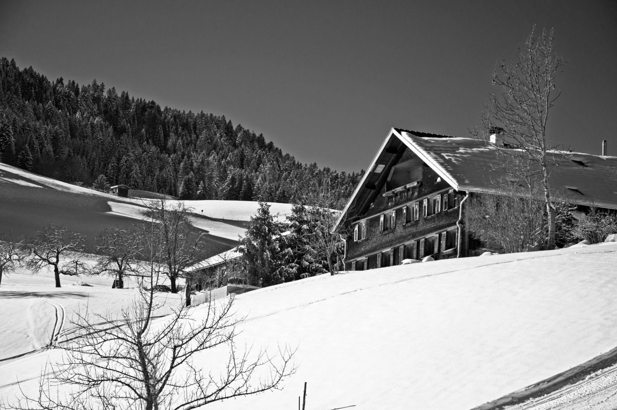 _dsc05328qu59.jpg