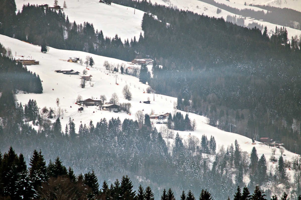 _dsc0532cpjg2.jpg