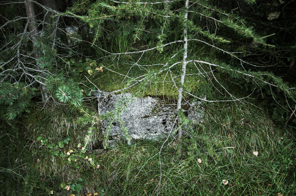 _dsc0534yysrj.jpg