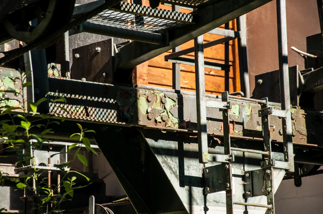 _dsc05359ef5c.jpg