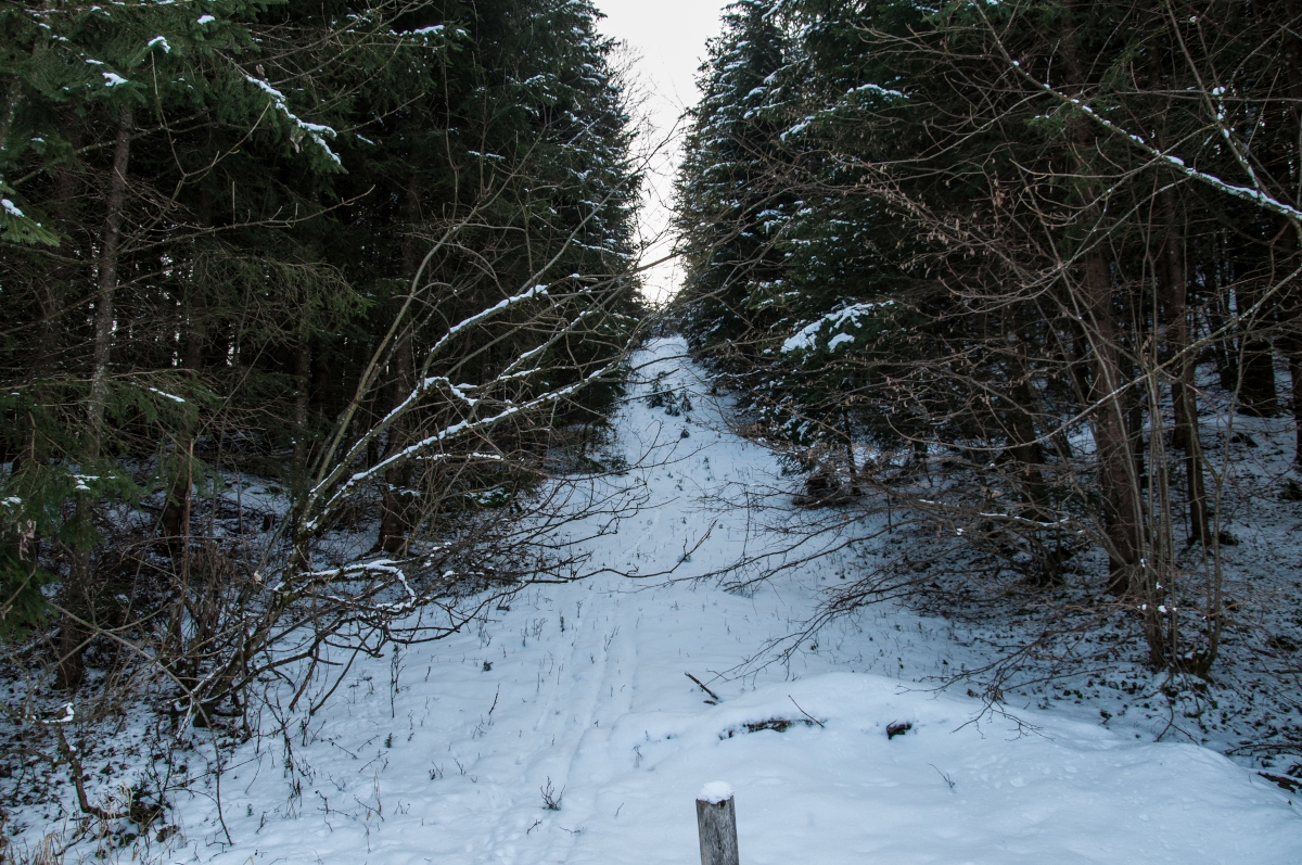 _dsc054203j67.jpg