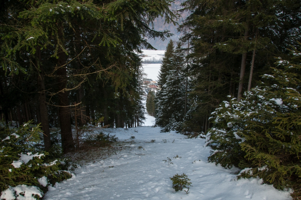 _dsc0547psk0d.jpg