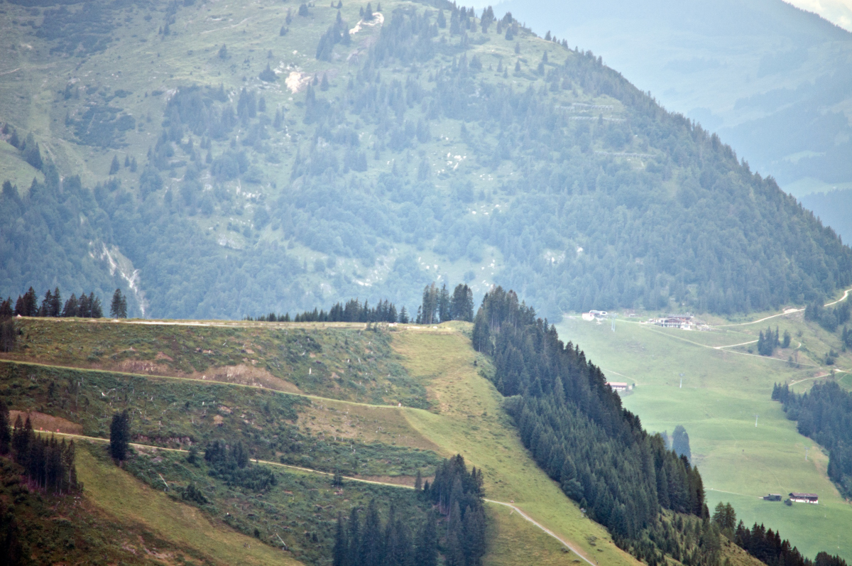 _dsc0548rylo4.jpg
