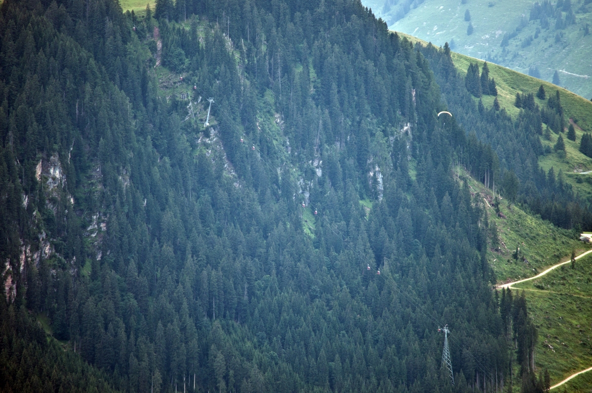 _dsc0551plyok.jpg