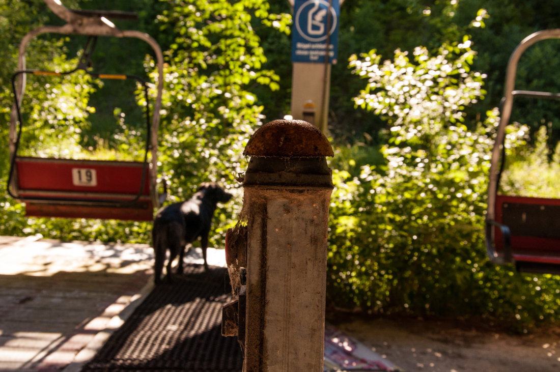 _dsc0556z3cc1.jpg