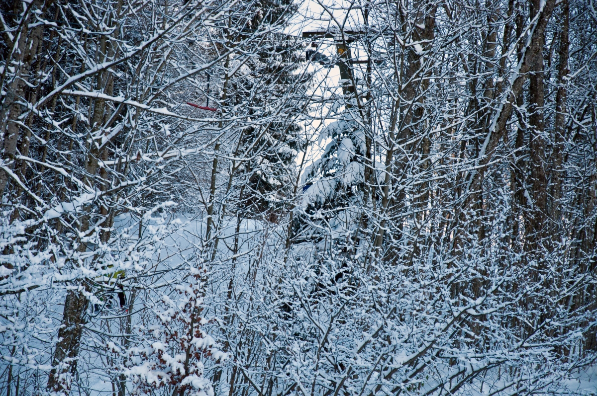 _dsc0558qdssg.jpg