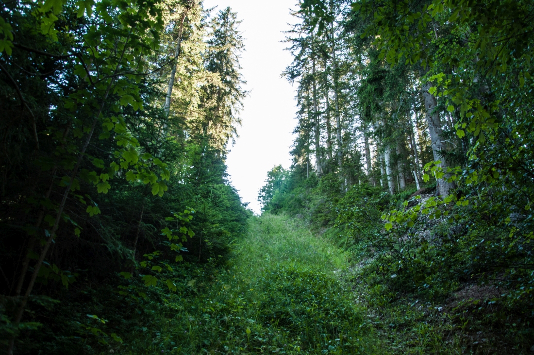 _dsc05595yij9.jpg