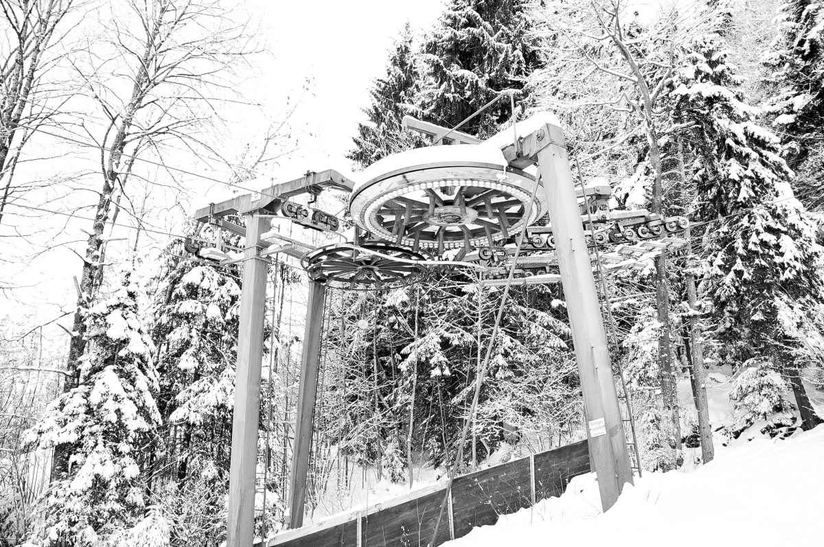 _dsc05608ssif.jpg