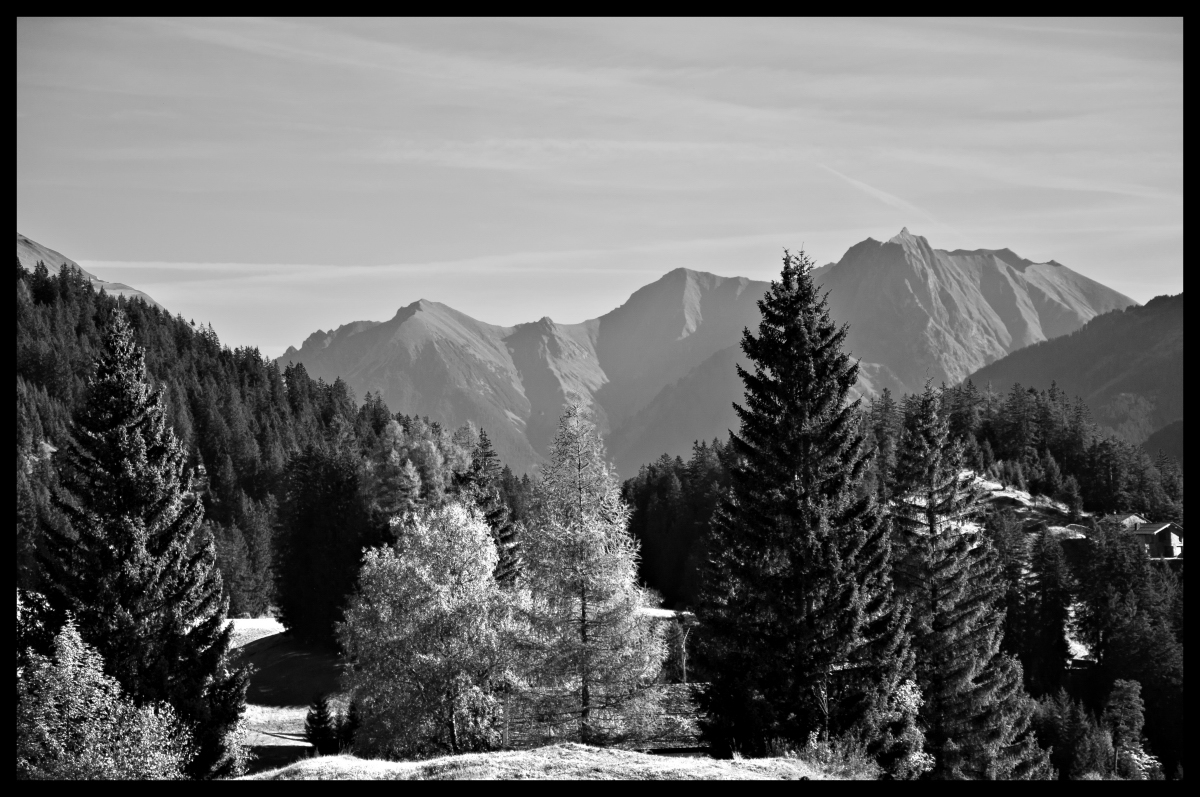 _dsc0570ejumk.jpg