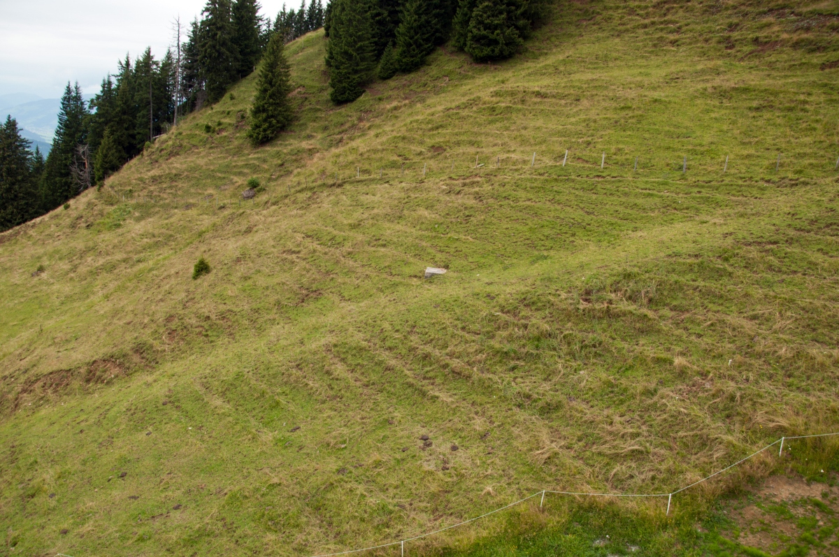 _dsc0575qdzoj.jpg