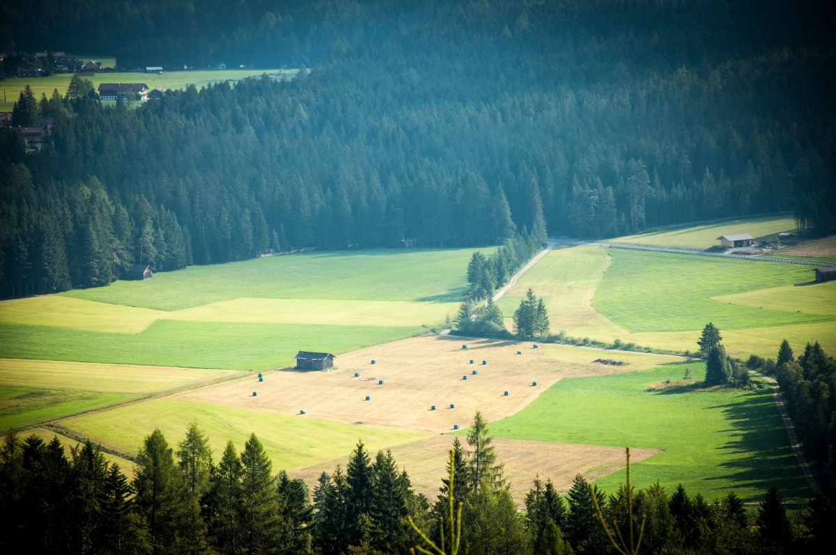 _dsc05816vslx.jpg