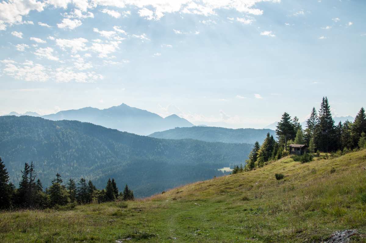 _dsc0589dysh0.jpg