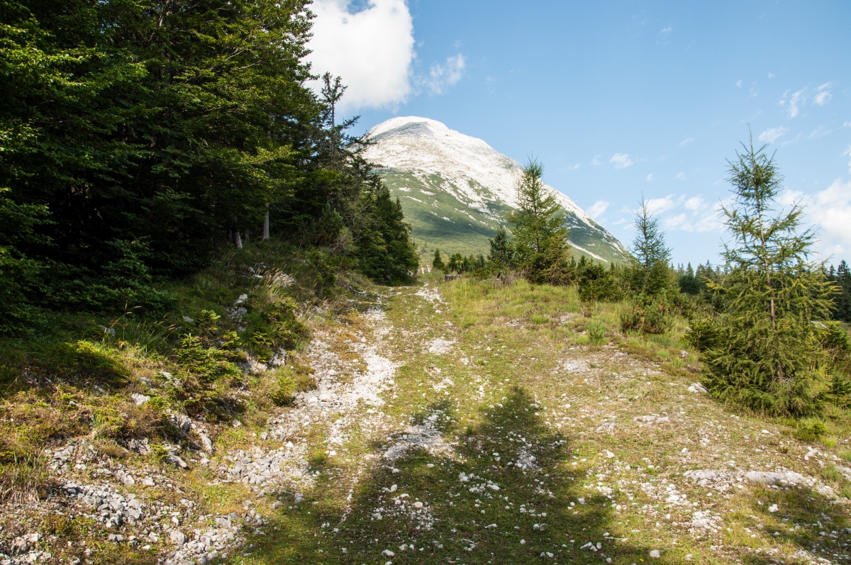 _dsc05929rscl.jpg