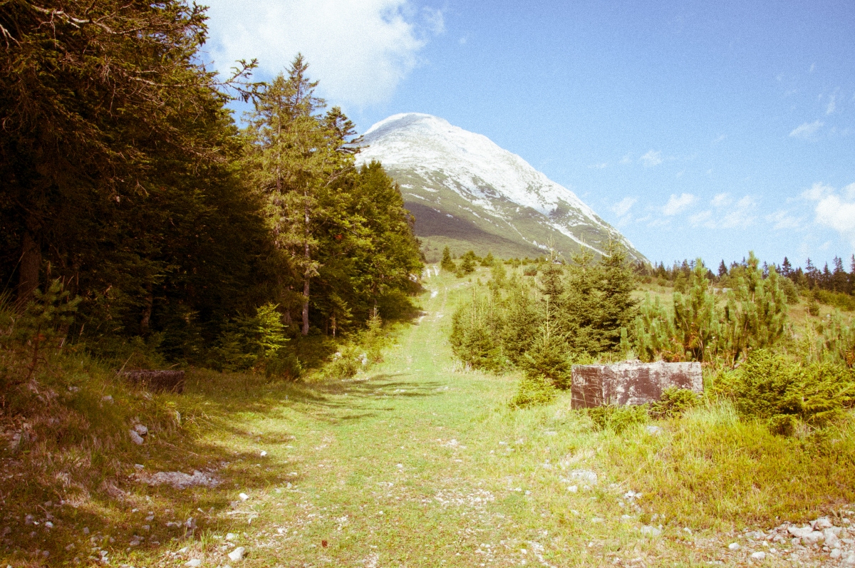 _dsc0594ldsnj.jpg