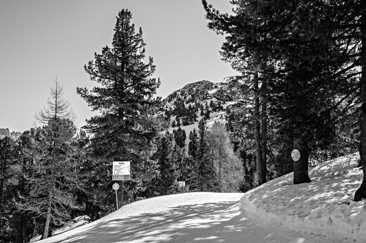 _dsc0597zvaw4.jpg