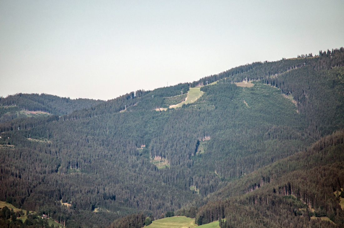 _dsc0602jzfjx.jpg