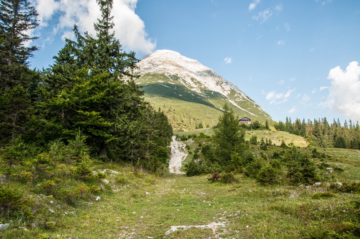 _dsc060691su4.jpg