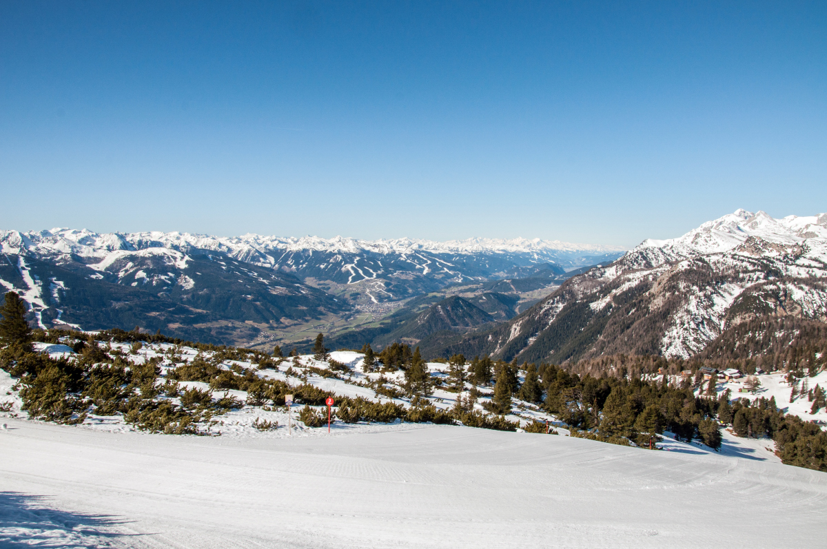 _dsc0606bsapq.jpg