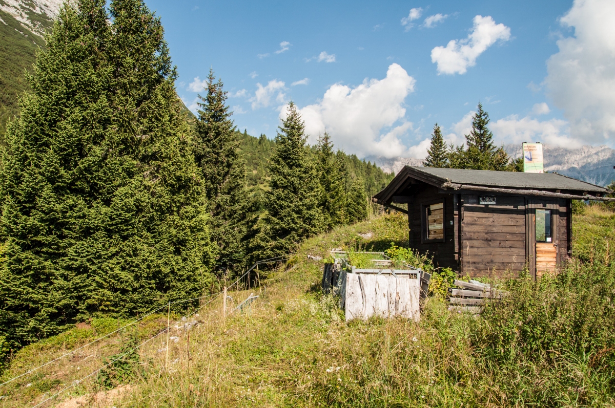_dsc0614hestt.jpg