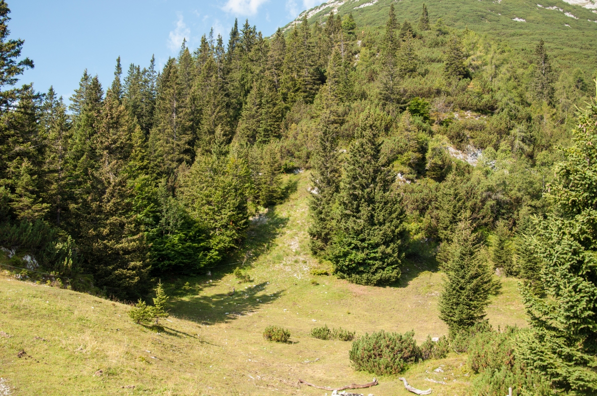 _dsc06187lsz5.jpg