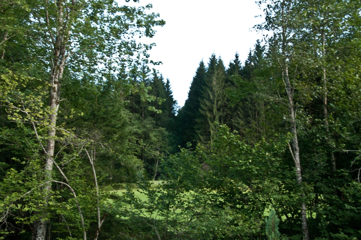 _dsc0624r7j43.jpg
