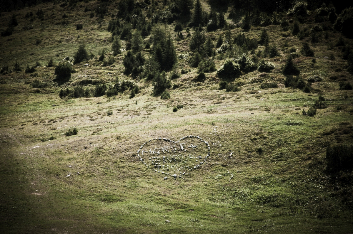 _dsc0625z7srr.jpg