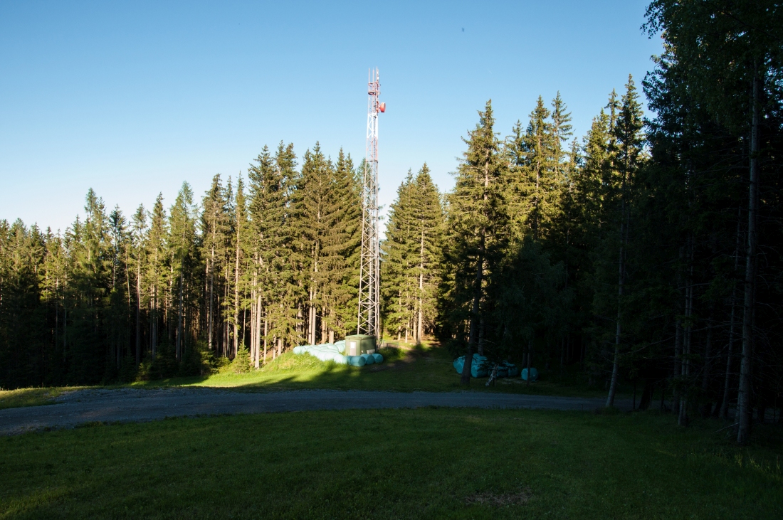 _dsc06262gbif8.jpg