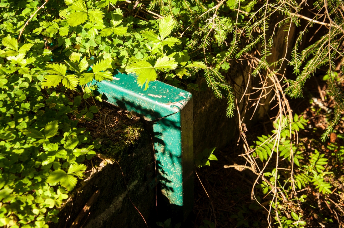 _dsc06282hzit8.jpg