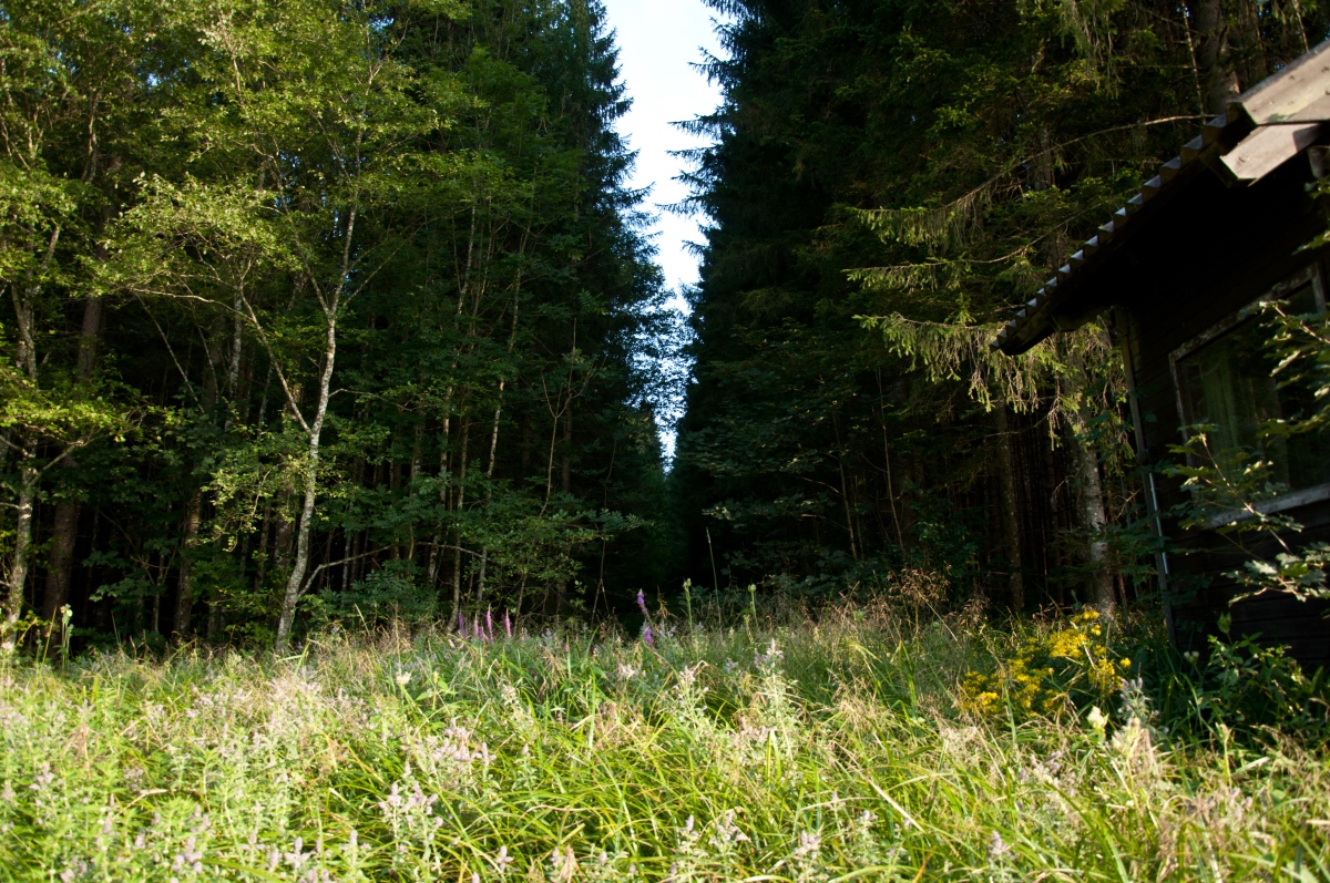 _dsc0632rqkfb.jpg