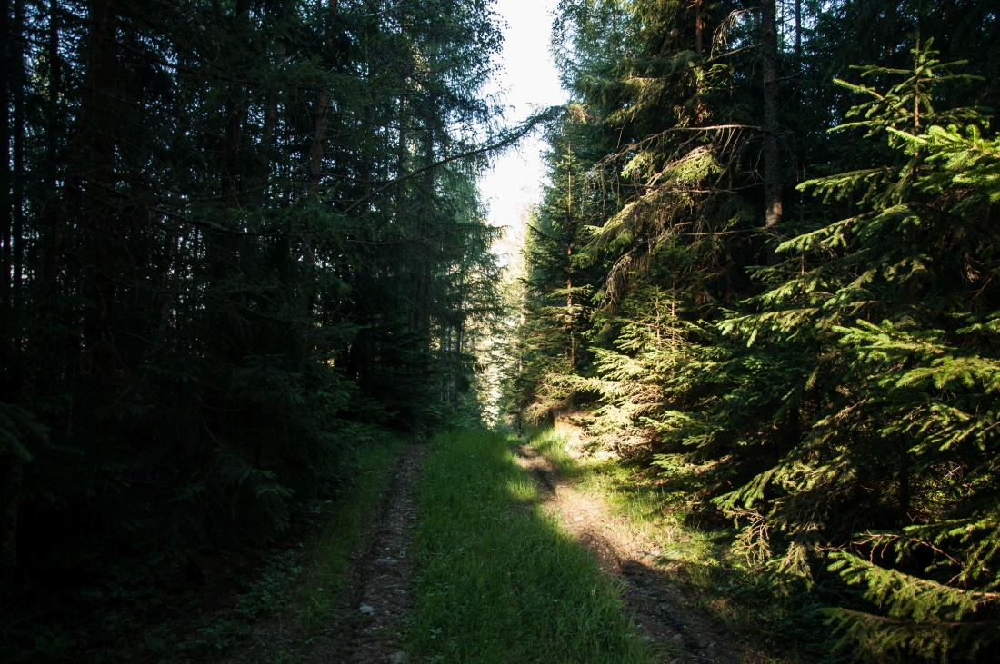 _dsc063325reqp.jpg