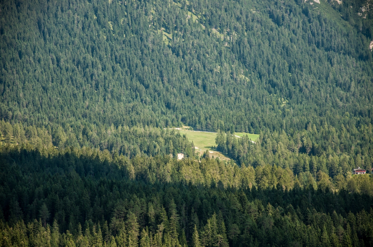 _dsc0633njso9.jpg