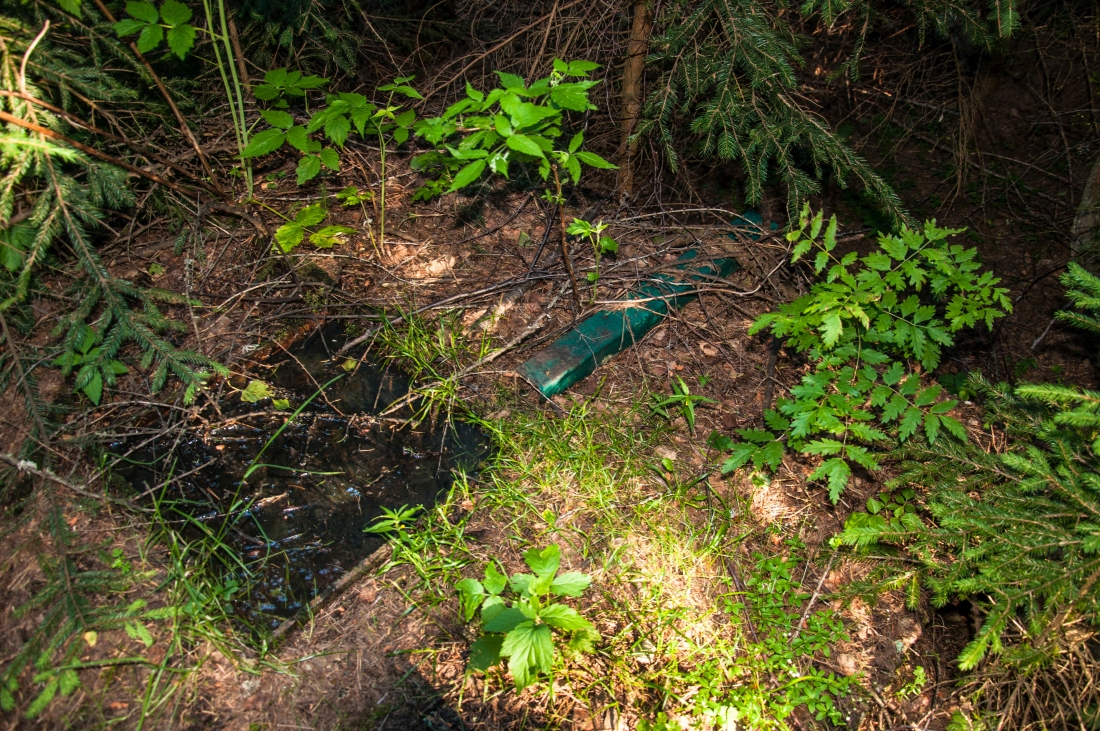 _dsc063522zdn2.jpg