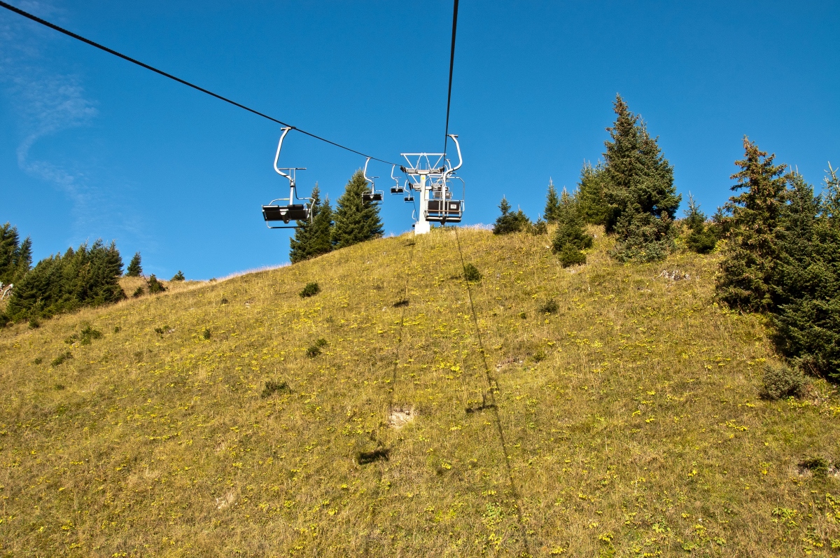 _dsc064311uil.jpg