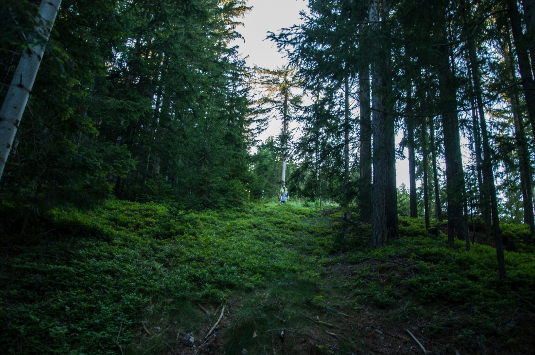 _dsc064322ad9f.jpg
