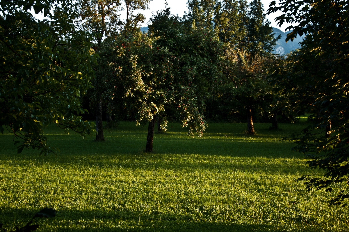 _dsc0647xsklv.jpg