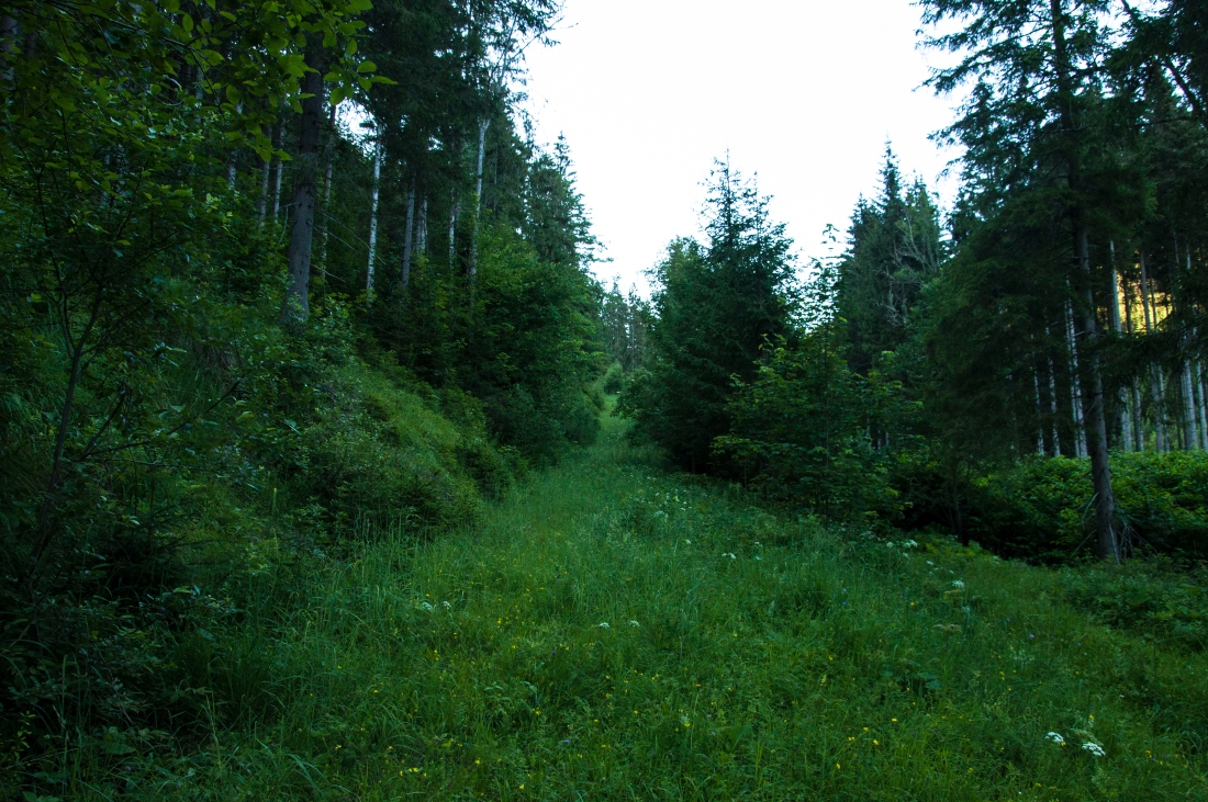 _dsc06582y6i15.jpg