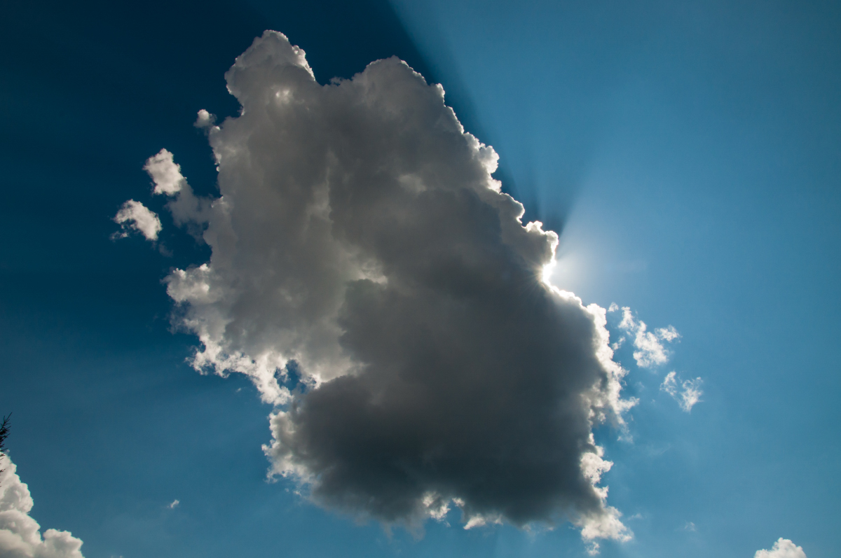 _dsc0658absb8.jpg