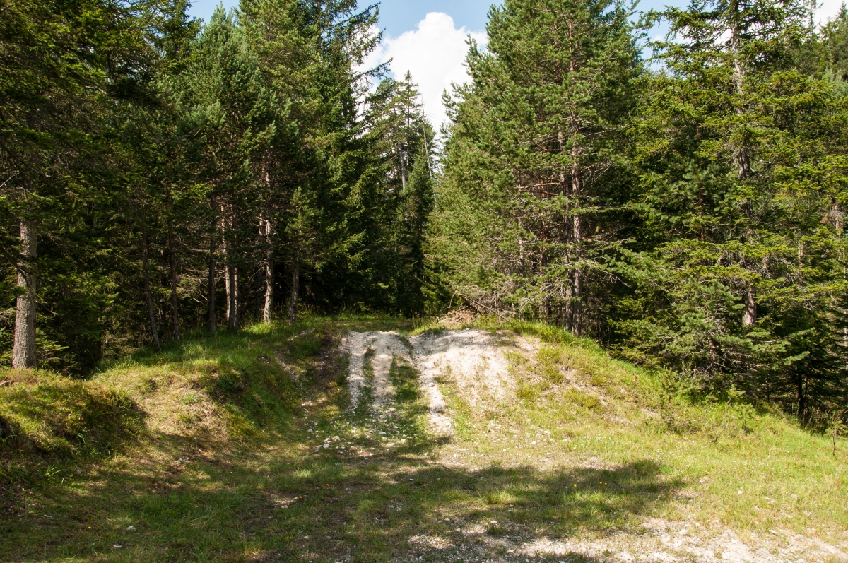 _dsc0659kfsi7.jpg