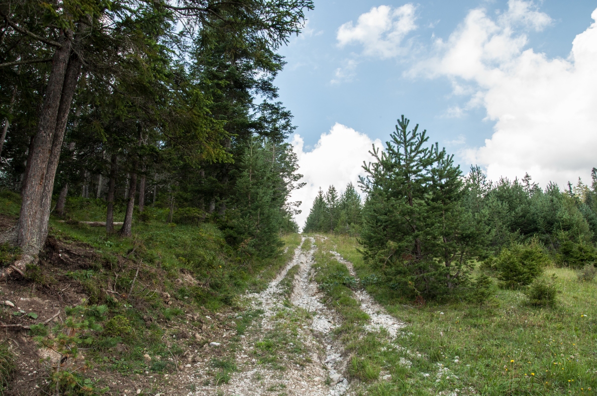 _dsc0665kxsuv.jpg