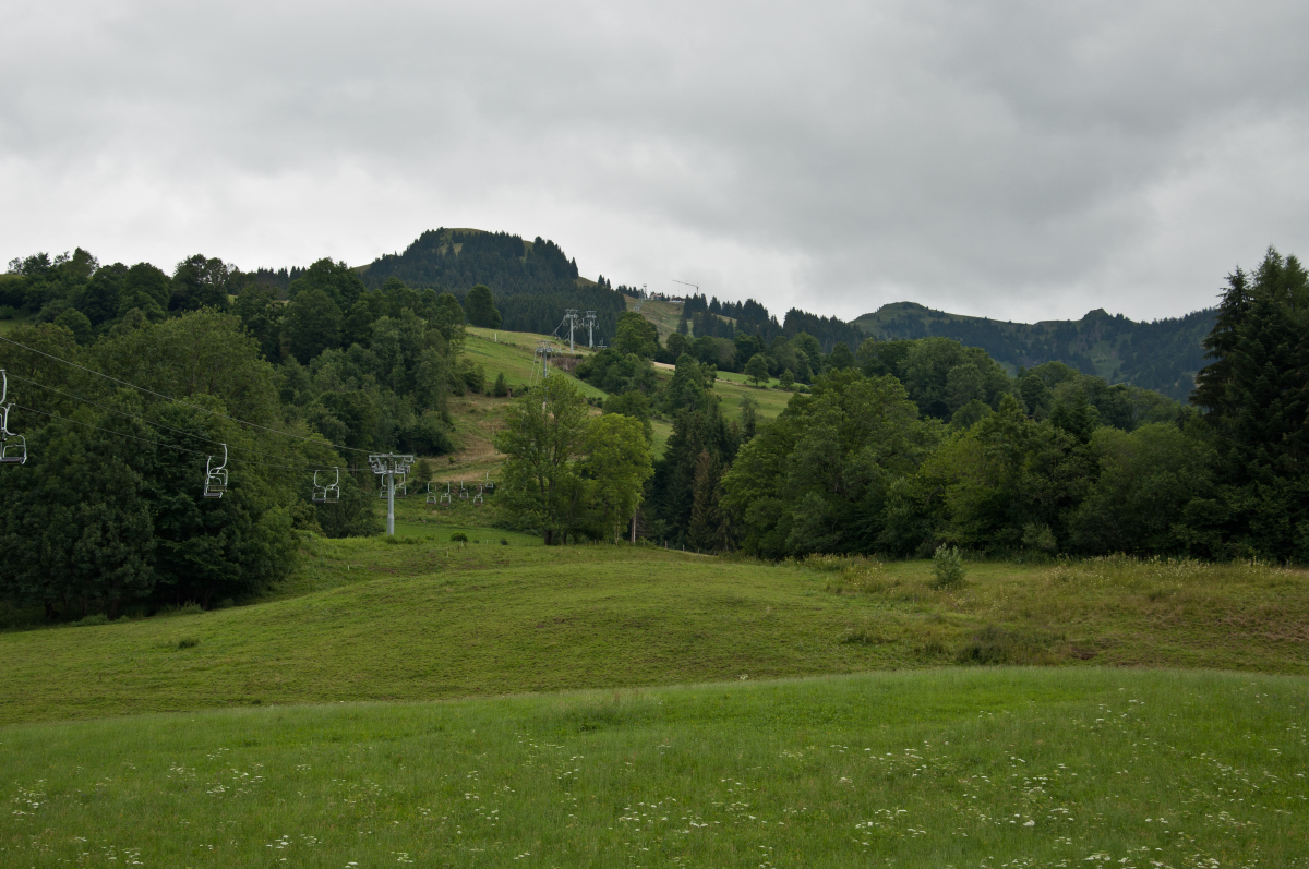 _dsc0666myr6y.jpg