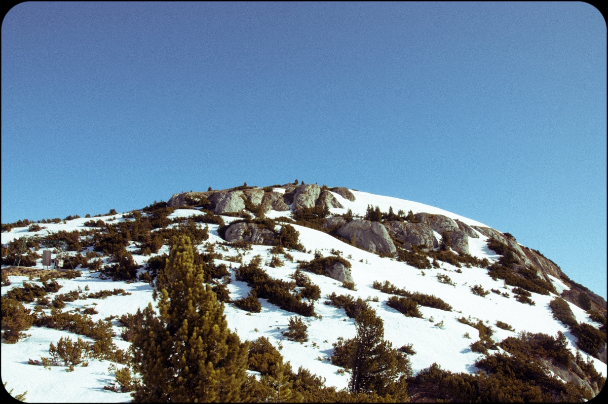_dsc0676r4yq0.jpg