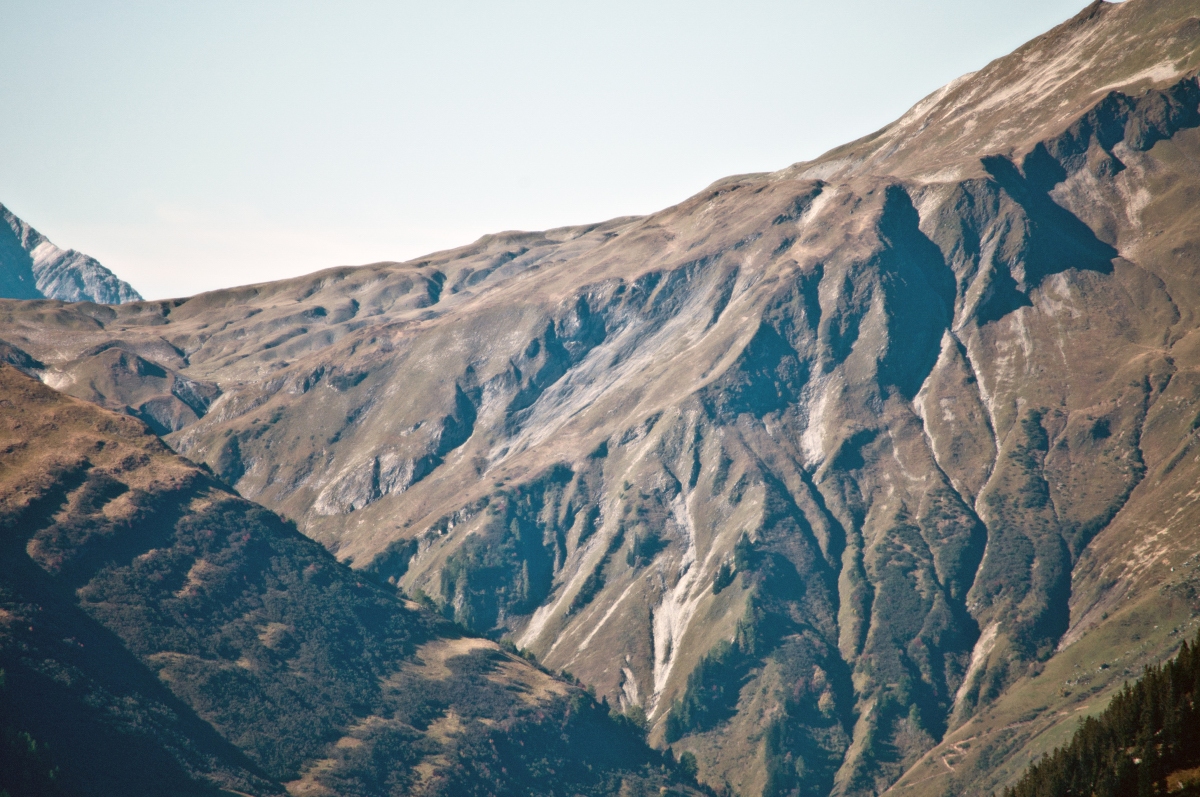 _dsc068212slj.jpg