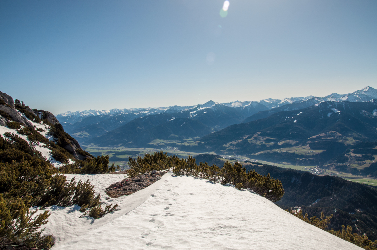_dsc0682oxyrt.jpg