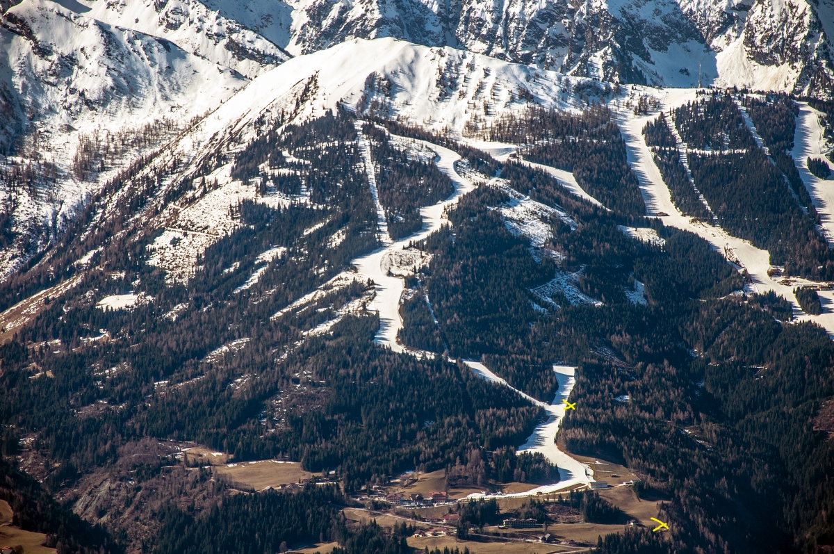 _dsc06840pzpi.jpg