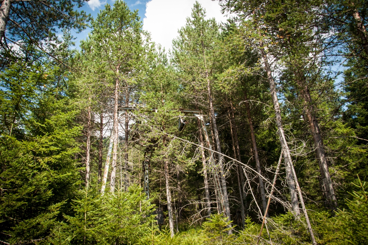 _dsc0684qosor.jpg
