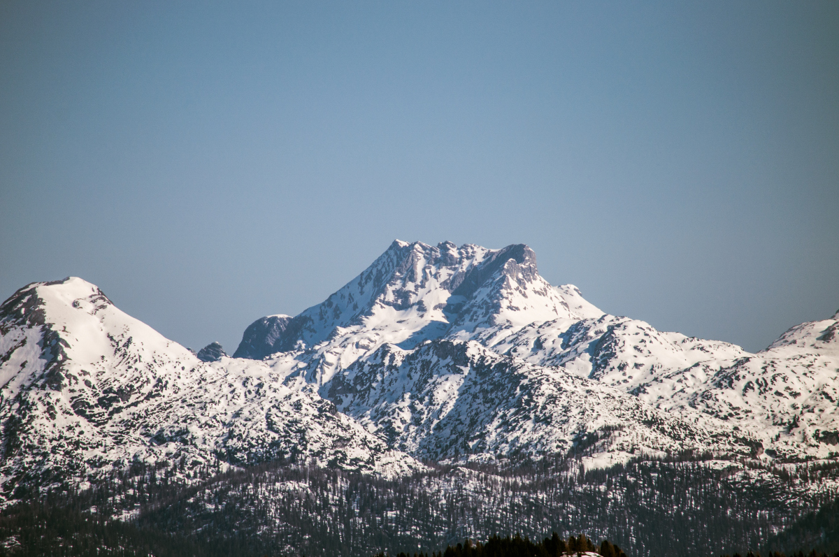 _dsc0694ooxb5.jpg