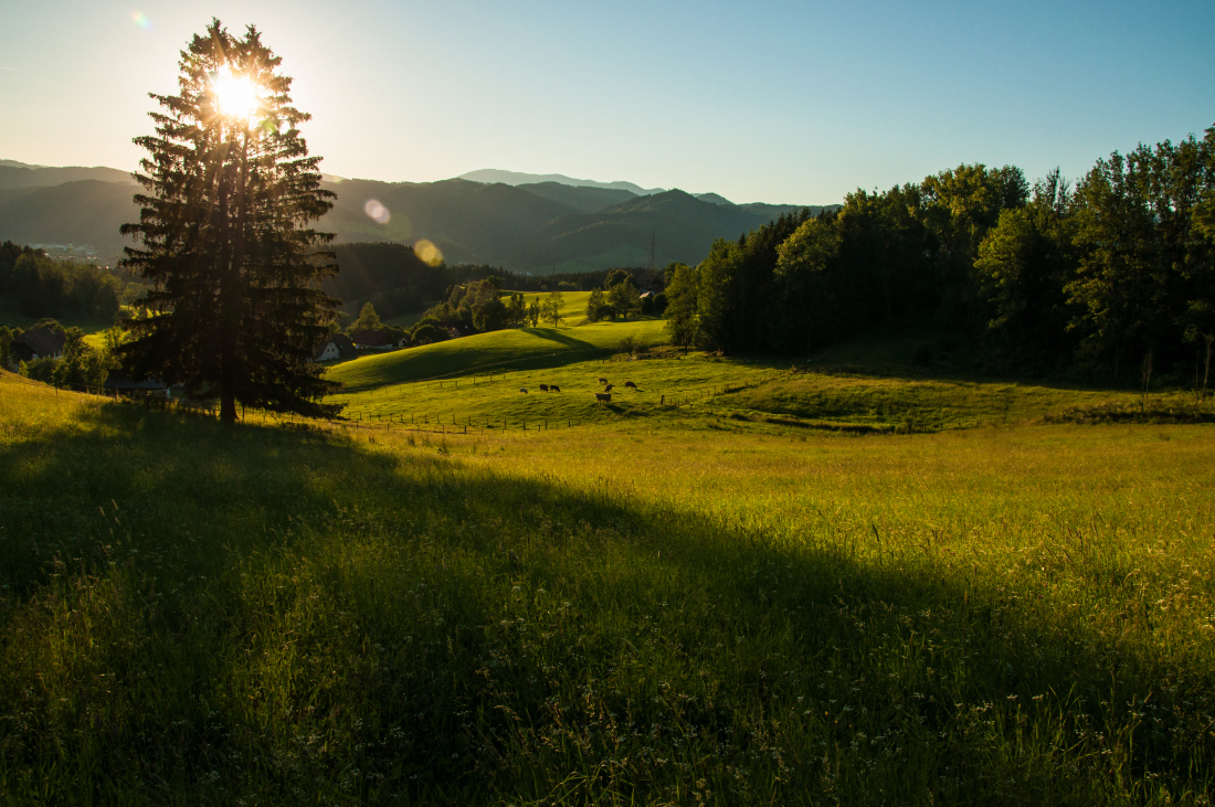 _dsc06952h6ie7.jpg