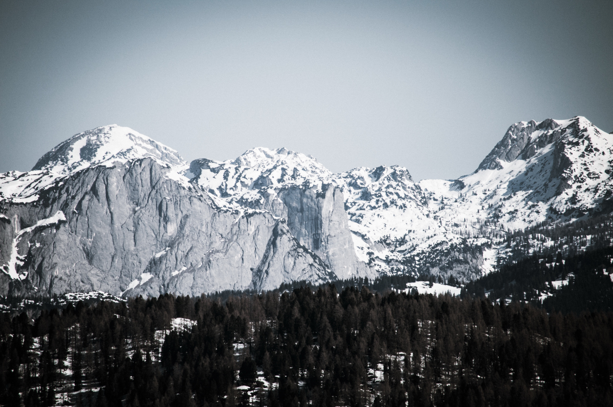 _dsc06964hx1l.jpg